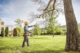 Best Hedge Trimming  in Lima, PA